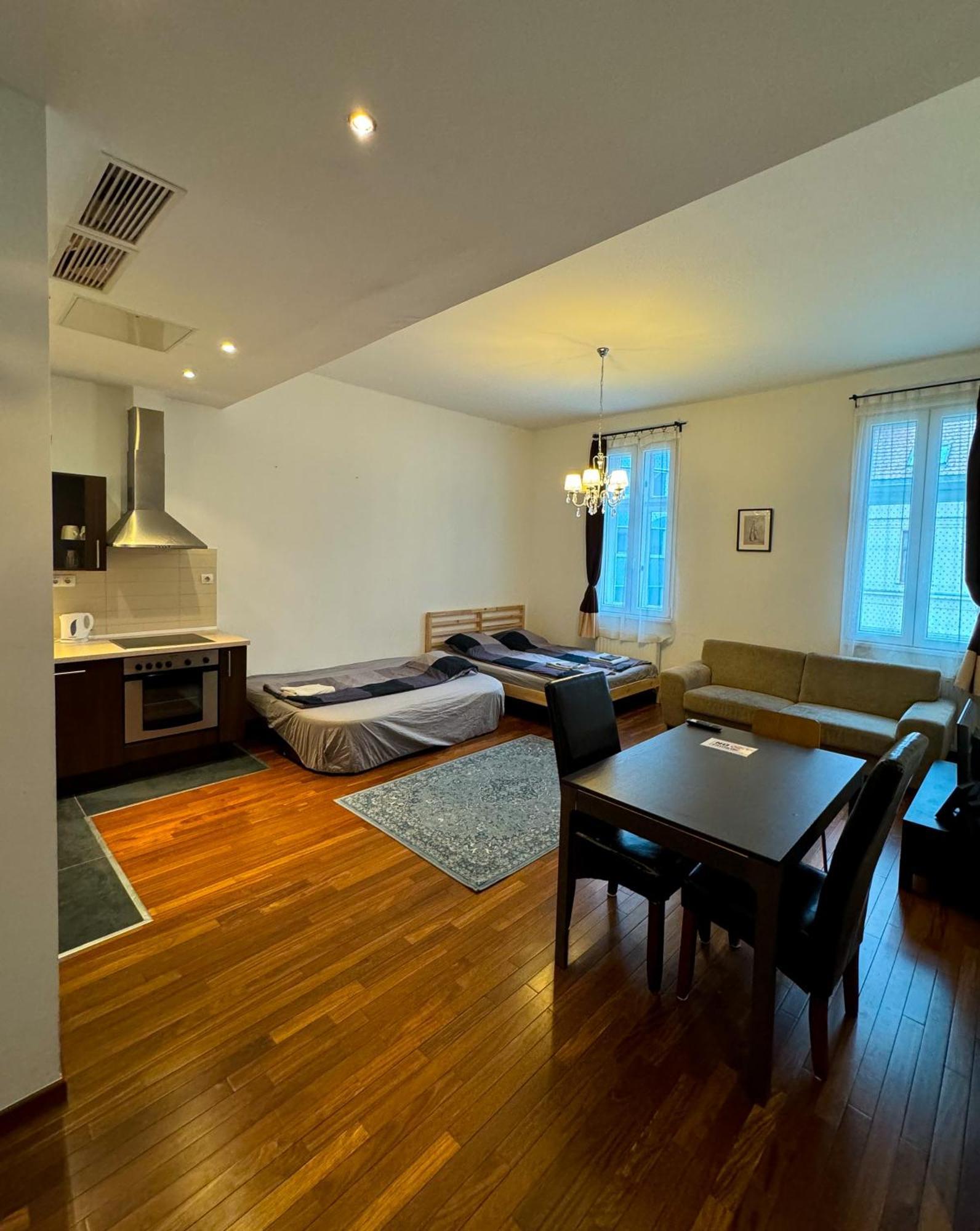 Downtown Family Apartments ブダペスト 部屋 写真
